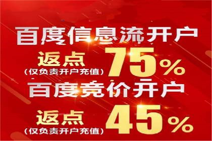 谷歌竞价广告与SEO结合的营销案例解析